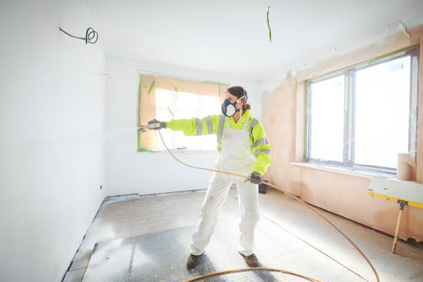Best Environmental Consulting for Mold Prevention  in Ruhenstroth, NV