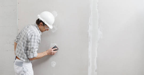 Trusted Ruhenstroth, NV Mold Removal Experts