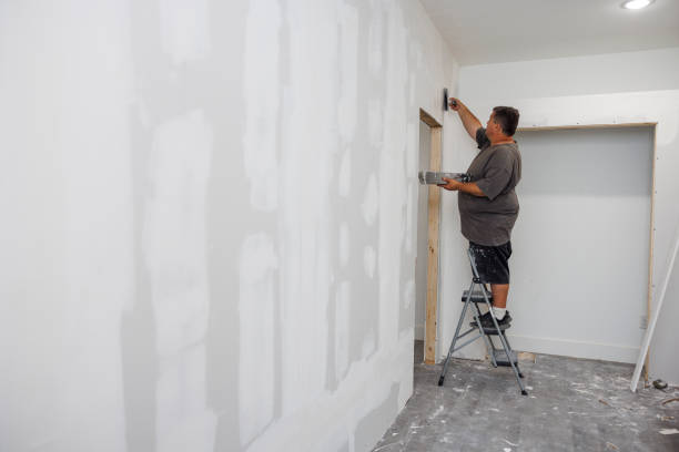 Best Attic Mold Removal  in Ruhenstroth, NV