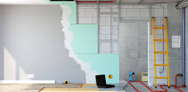 Best Biohazard Mold Removal  in Ruhenstroth, NV