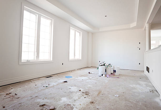 Mold Remediation for Rental Properties in Ruhenstroth, NV