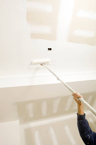 Best Basement Mold Removal  in Ruhenstroth, NV