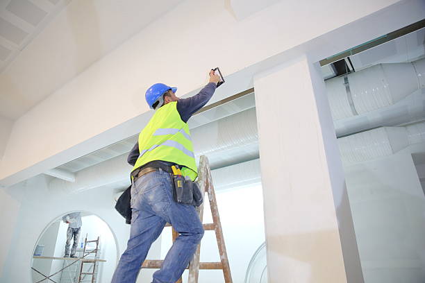 Biohazard Mold Removal in Ruhenstroth, NV