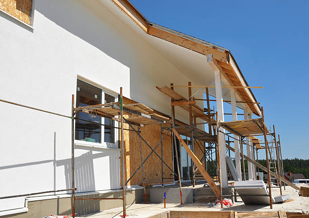  Ruhenstroth, NV Mold Removal Pros