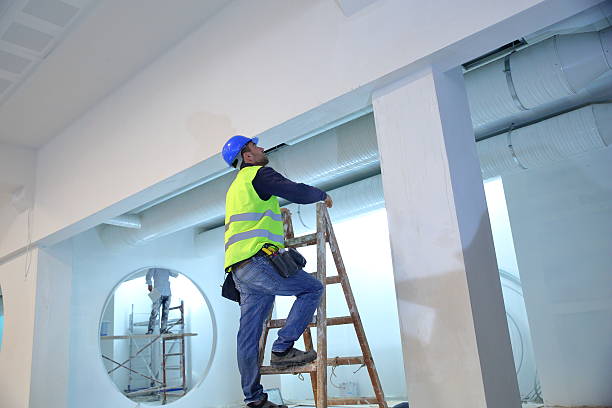 Best Mold Documentation for Insurance Claims  in Ruhenstroth, NV