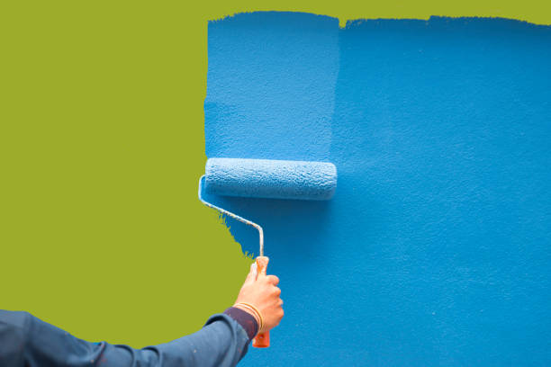 Best Mold Damage Restoration  in Ruhenstroth, NV