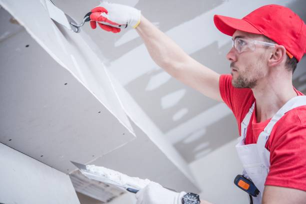 Best Post-Construction Mold Inspection  in Ruhenstroth, NV