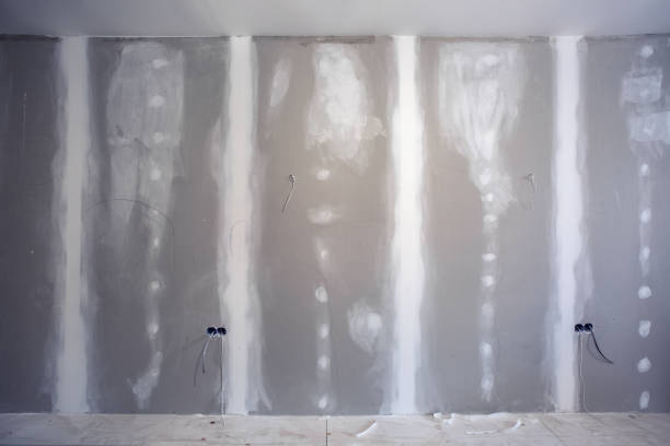 Best Environmental Consulting for Mold Prevention  in Ruhenstroth, NV